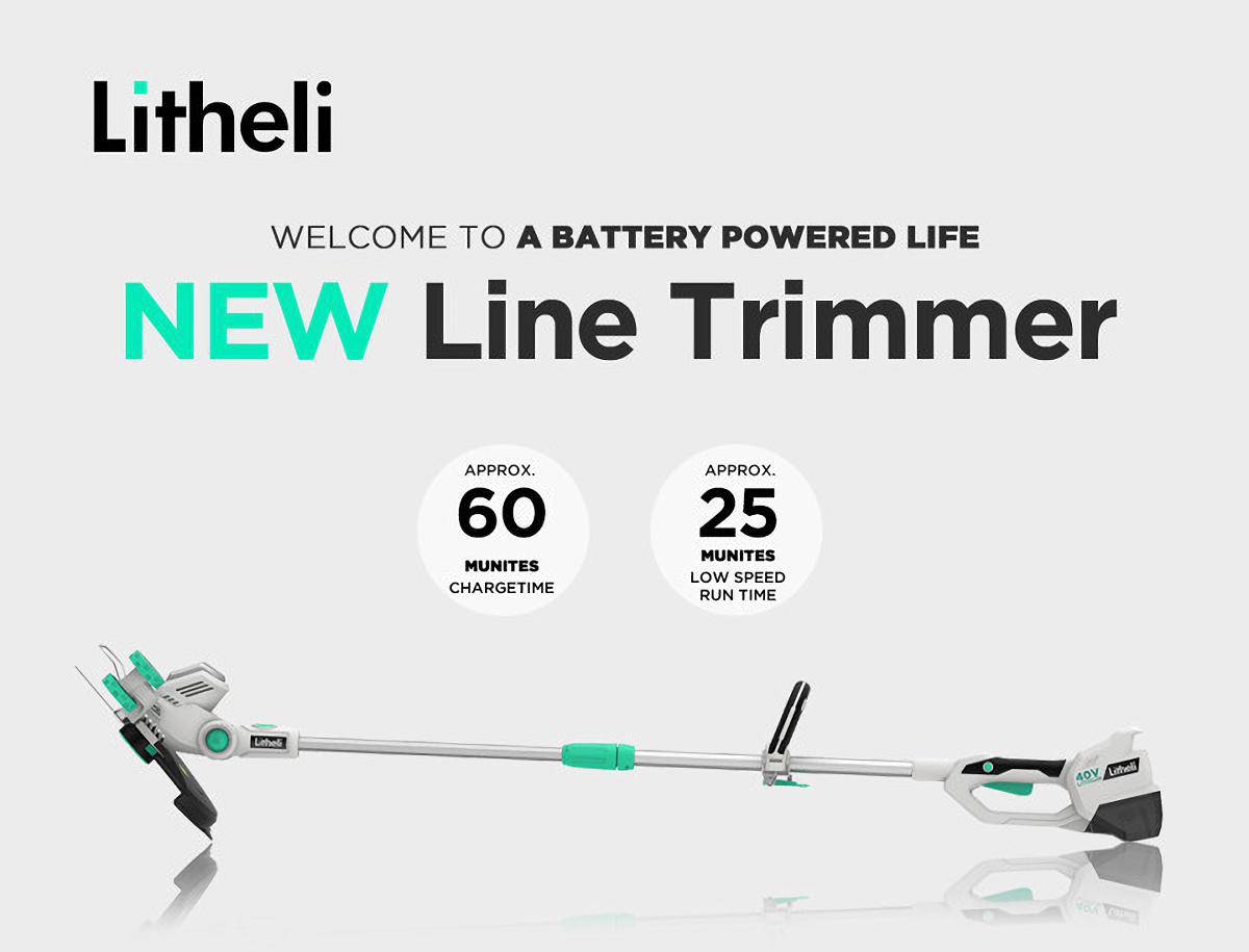 LITHELI 40V Cordless Whipper Snipper String Grass Timmer Kit - Image 4